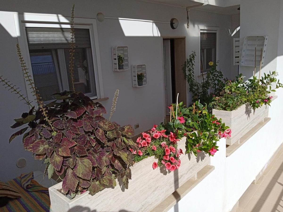 דירות Sannicandro di Bari La Casa Di Elena מראה חיצוני תמונה