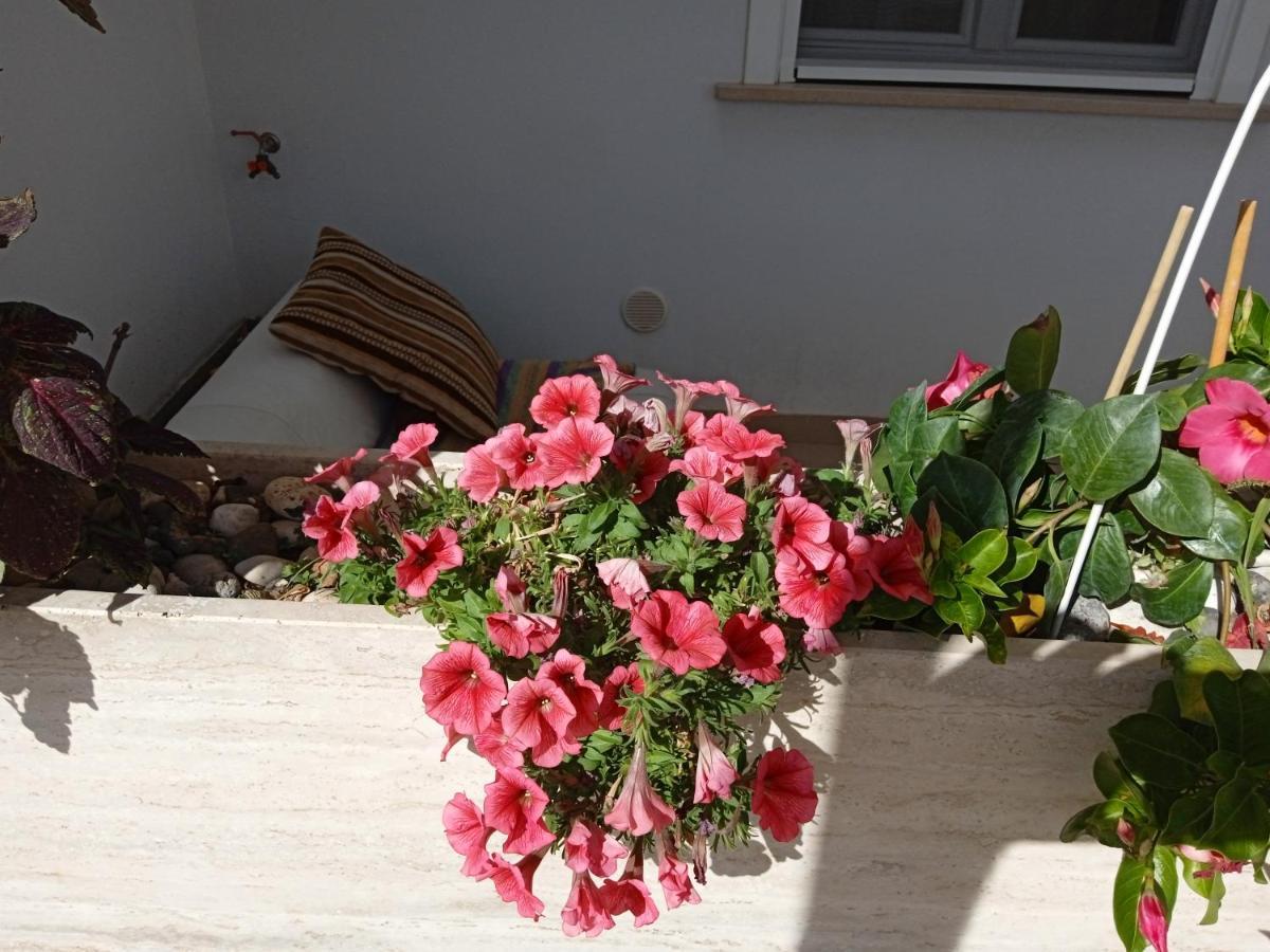 דירות Sannicandro di Bari La Casa Di Elena מראה חיצוני תמונה